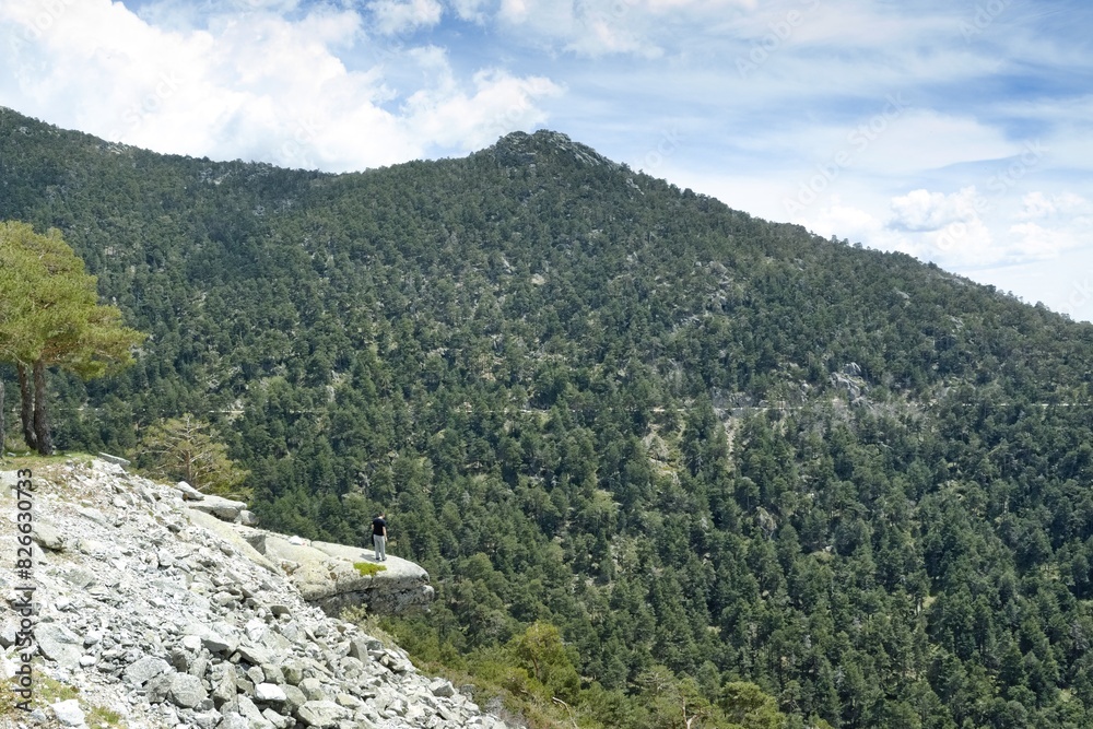 Fototapeta premium view of the Fuenfria Valley in the Guadarrama mountains