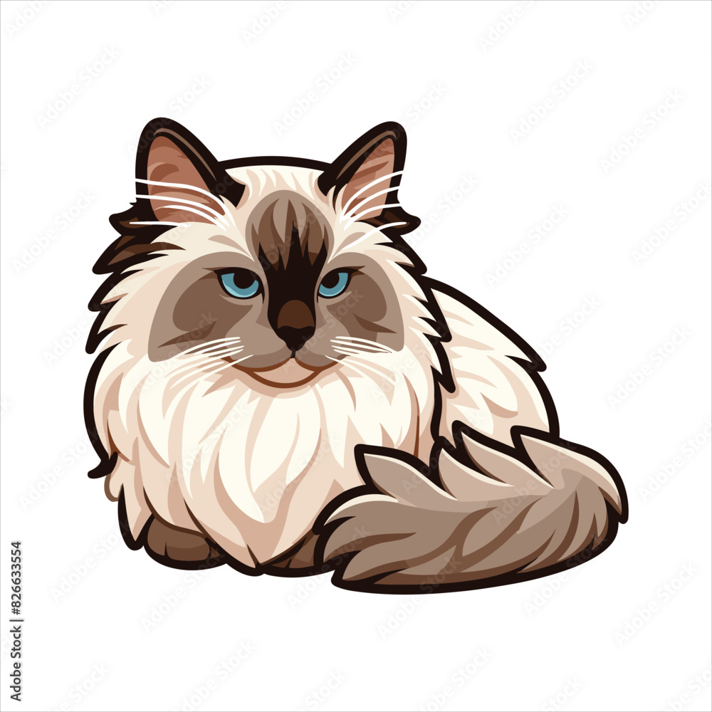 Explore Ragdoll cats in various charming poses. Our high-quality illustrations capture their grace and charm. Perfect for pet-related designs.