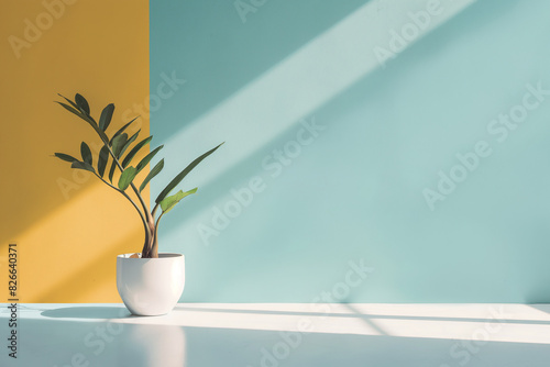 A potted ZZ plant sits in front of a bright yellow and blue background