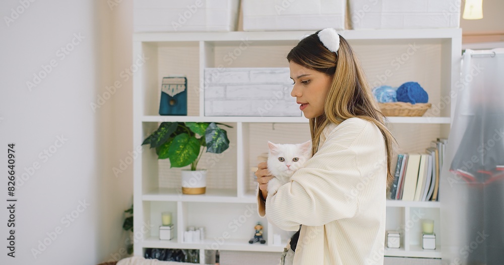Cute pretty young beautiful woman is holding hugging embrace cute little fluffy a white cat in her arms. The woman is smiling and seems to be enjoying the moment, Relationship between pets and people Cute pretty young beautiful woman is holding hugging embrace cute little fluffy a white cat in her arms. The woman is smiling and seems to be enjoying the moment, Relationship between pets and people
