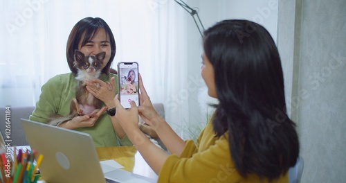 Two Asian women friend are sitting at a table with a small dog. women holds a Chihuahua and smiles for a selfie taking a picture of the dog with cell phone in a bright cozy workspace business home