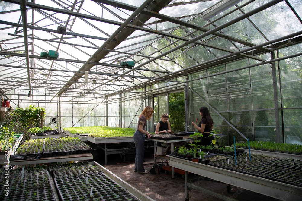 Friends collaborating in a greenhouse garden Friends collaborating in a greenhouse garden