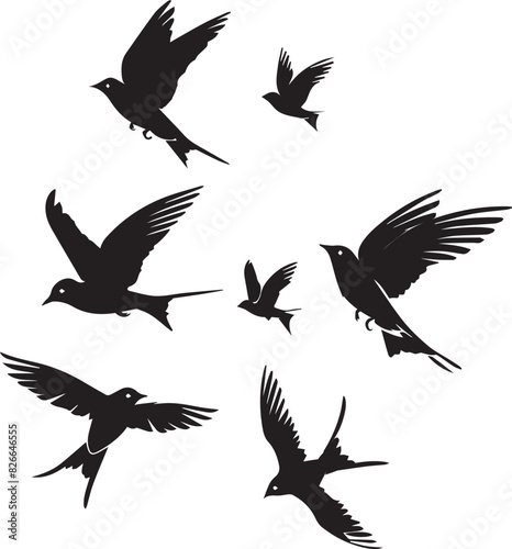 Silhouettes of birds swallow on white background 