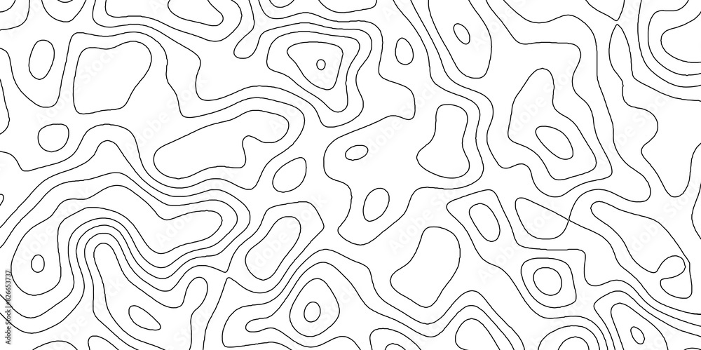 Black and white abstract topographic contours map background, topographic map and landscape terrain texture grid outline cartography landscape white wave paper curved reliefs abstract background. Black and white abstract topographic contours map background, topographic map and landscape terrain texture grid outline cartography landscape white wave paper curved reliefs abstract background.