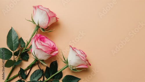 A delicate bouquet of roses on a light beige background with a place to apply text.