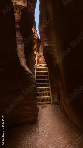 Ladder to the Sky