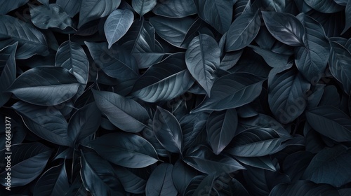 A close up of dark green leaves with a mood of mystery and intrigue. The leaves are arranged in a way that creates a sense of depth and texture  making the image feel almost three-dimensional