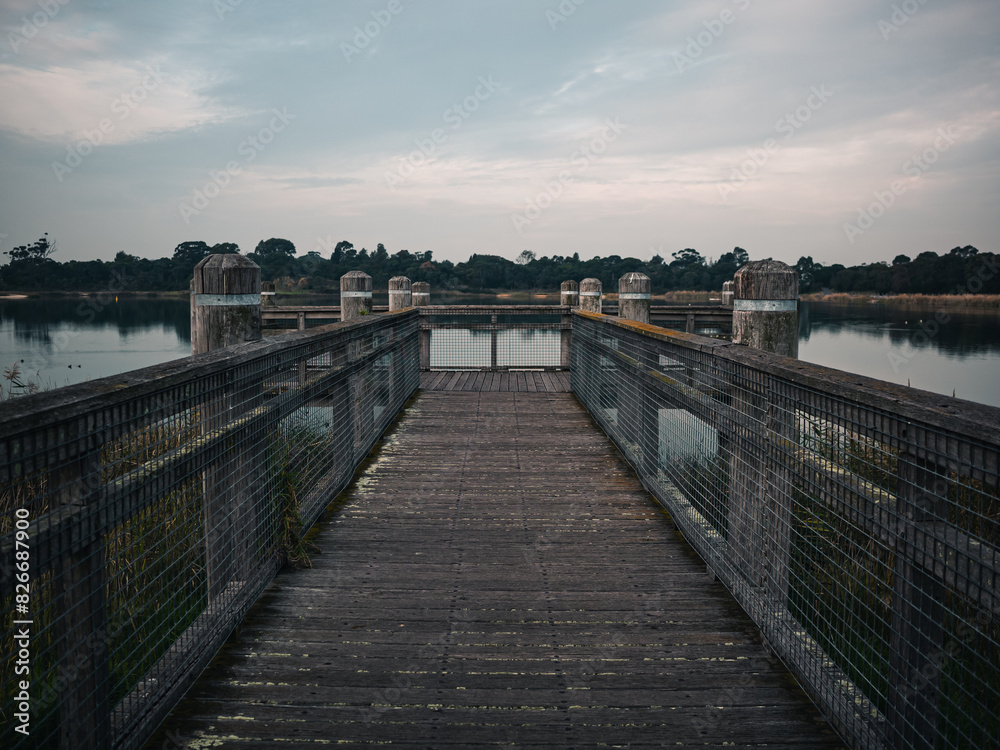 Obraz premium bridge over the lake