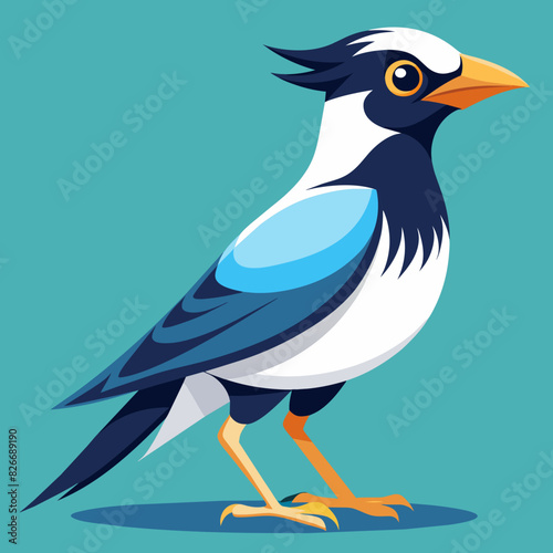 bali myna vector silhouette illustration