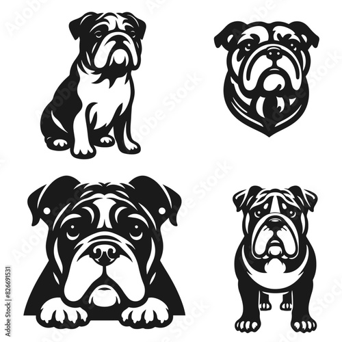 Set of Bulldog vector silhouette on a white background
