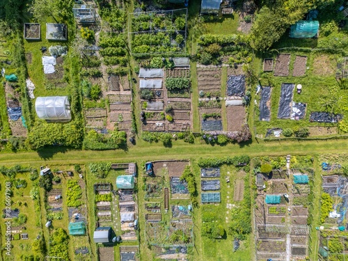 Bilde på lerret Aerial view of Communal allotments in Guilford, Surrey, England