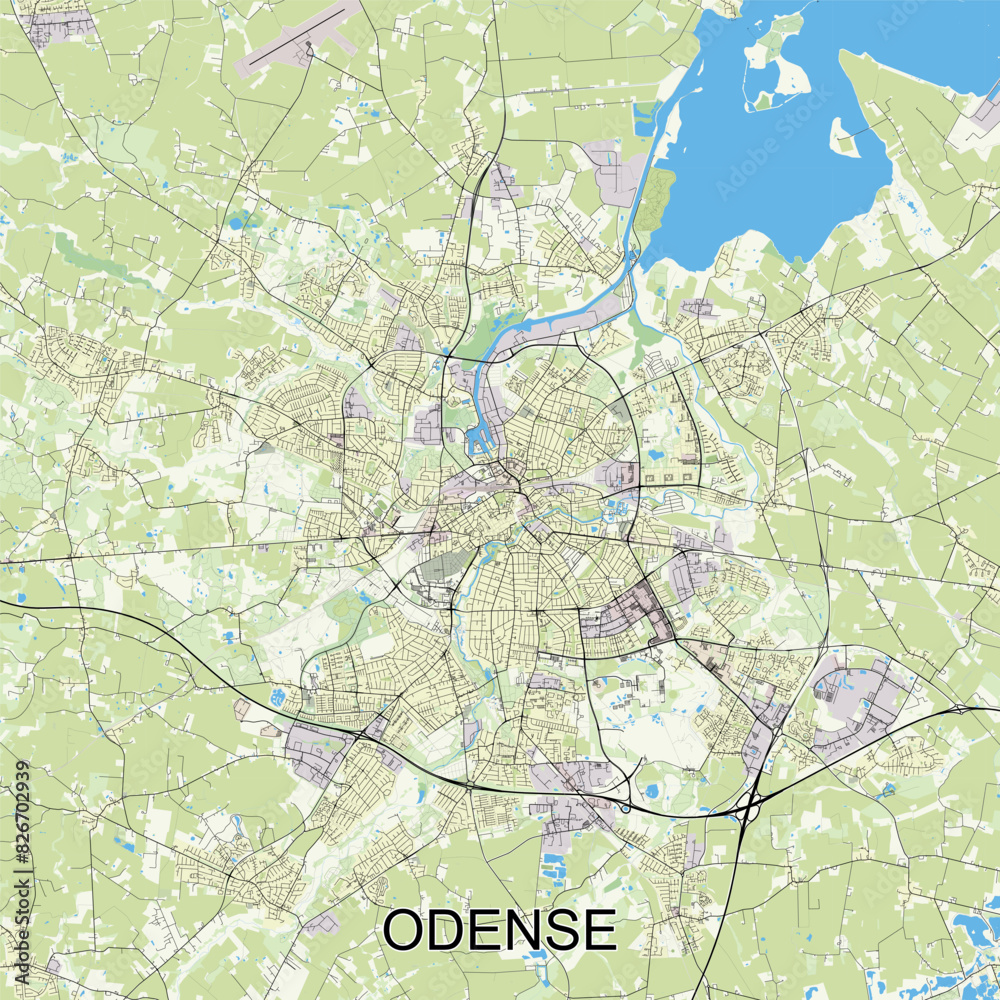 Fototapeta premium Odense, Denmark map poster art