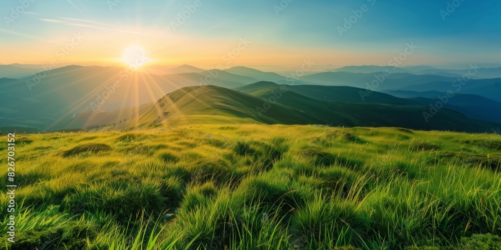 Photography, grassy mountain with sunlight shining, vibrant green grass and majestic sunrise. Photography, grassy mountain with sunlight shining, vibrant green grass and majestic sunrise.