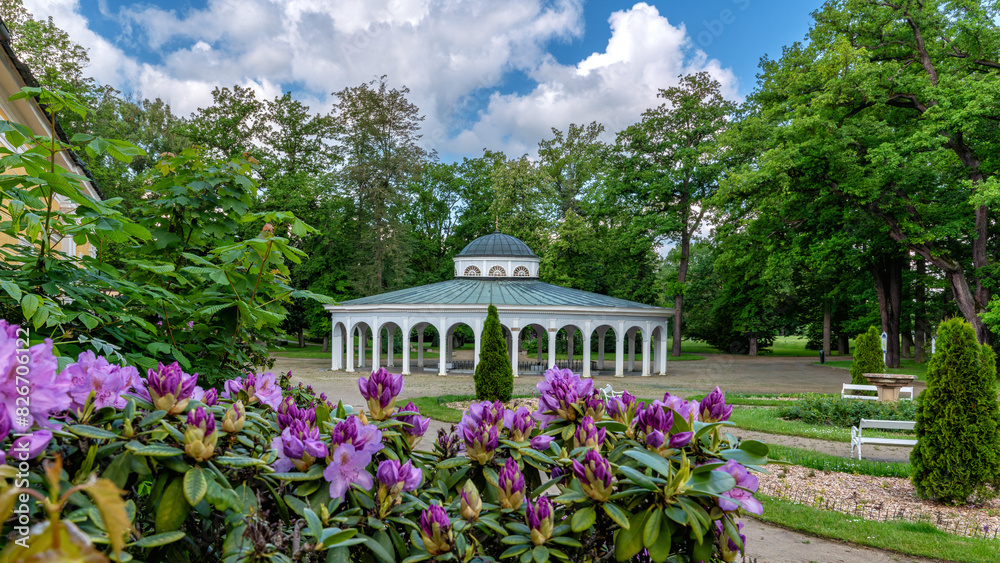Pavilion of cold mineral water spring Luisa in the small Czech UNESCO spa town Frantiskovy Lazne (Franzensbad) - Czech Republic (region Karlovy Vary) - Europe