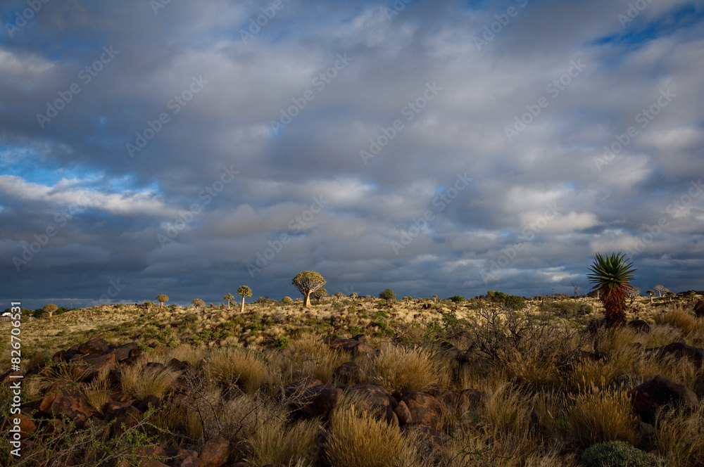 Obraz premium Africa, Namibia