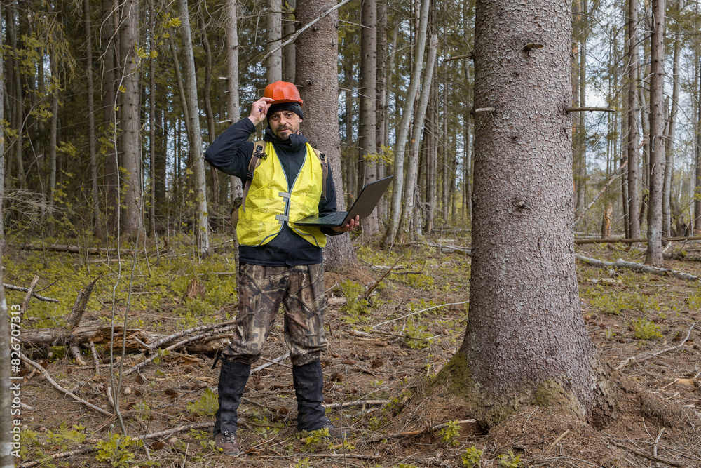 Forest engineer works in the forest with a computer. Forestry engineer.