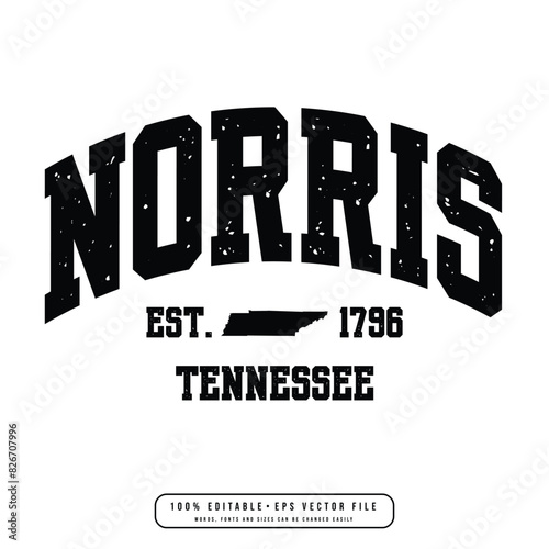 Norris text effect vector. Editable college t-shirt design printable text effect vector photo