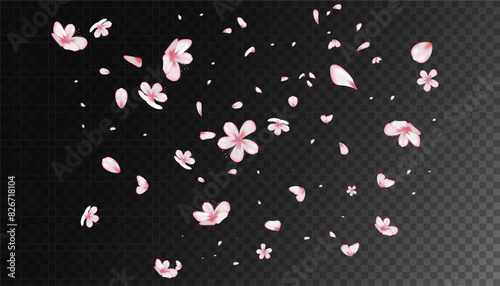 BeautifulSakura Blossom Isolated Vector. Feminine Showering 3d Petals Wedding Border. Japanese Blooming Flowers Wallpaper. Valentine, Mother's Day Tender Sakura Blossom Isolated on Black