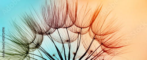 Fotografi flower fluff, dandelion seeds - beautiful macro photography with abstract bokeh
