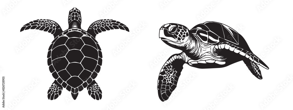 Sea Turtles Silhouette set isolated on white background. Turtles Vector ...
