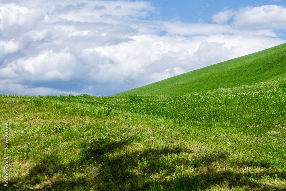 Fototapeta premium alpine meadow of alto adige