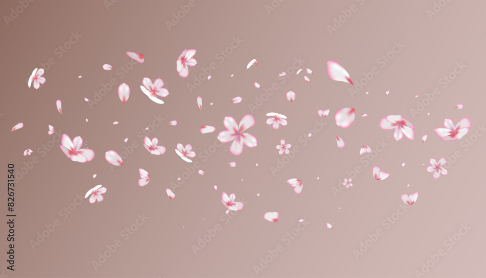 Beautiful Sakura Blossom Isolated Vector. Feminine Showering 3d Petals Wedding Border. Japanese Blooming Flowers Wallpaper. Valentine, Mother's Day Tender Sakura Blossom 