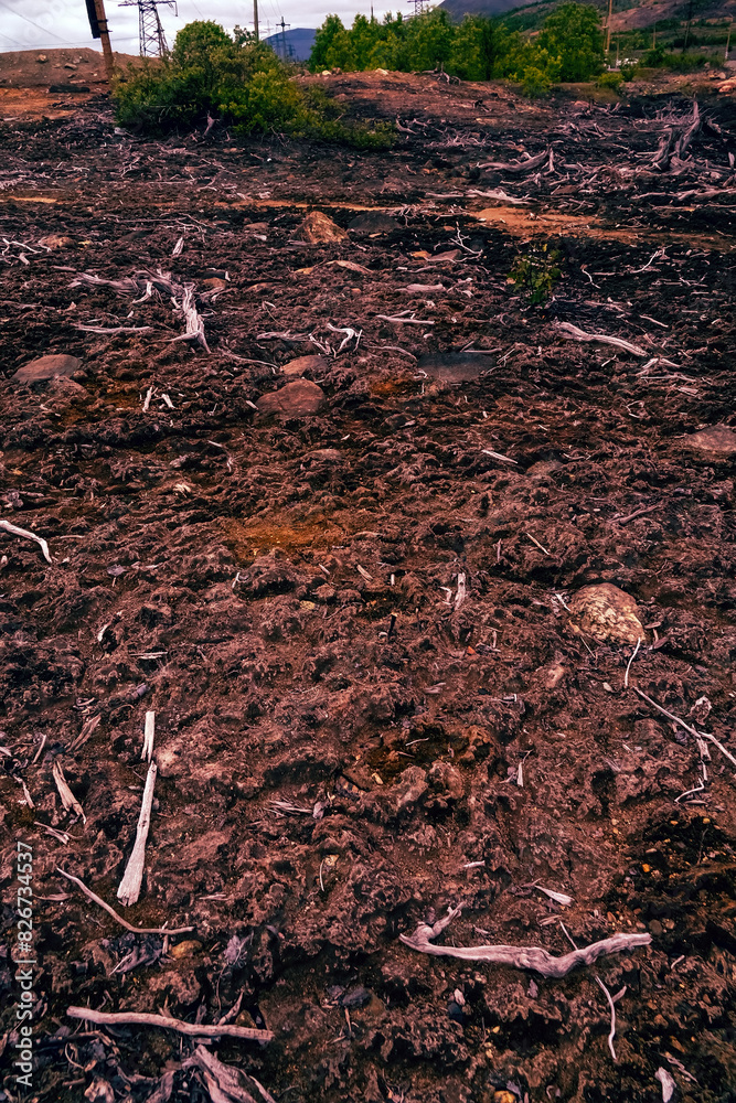 Deforestation in northeastern Europe. Gloomy technogenic landscape Deforestation in northeastern Europe. Gloomy technogenic landscape