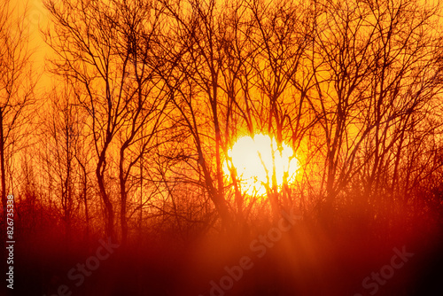 Spring landscape. Sunrise of the solar disk over the northern icy river, on the bare winter floodplain forests. Northeast of Europe photo