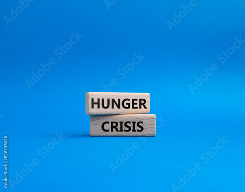 Hunger Crisis symbol. Wooden blocks with words Hunger Crisis. Beautiful blue background. Business and Hunger Crisis concept. Copy space.