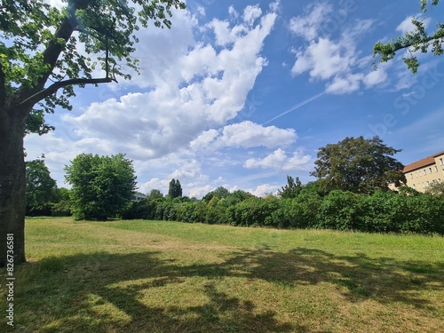 cozy meadow in a parc in Berlin, perfect for picnic