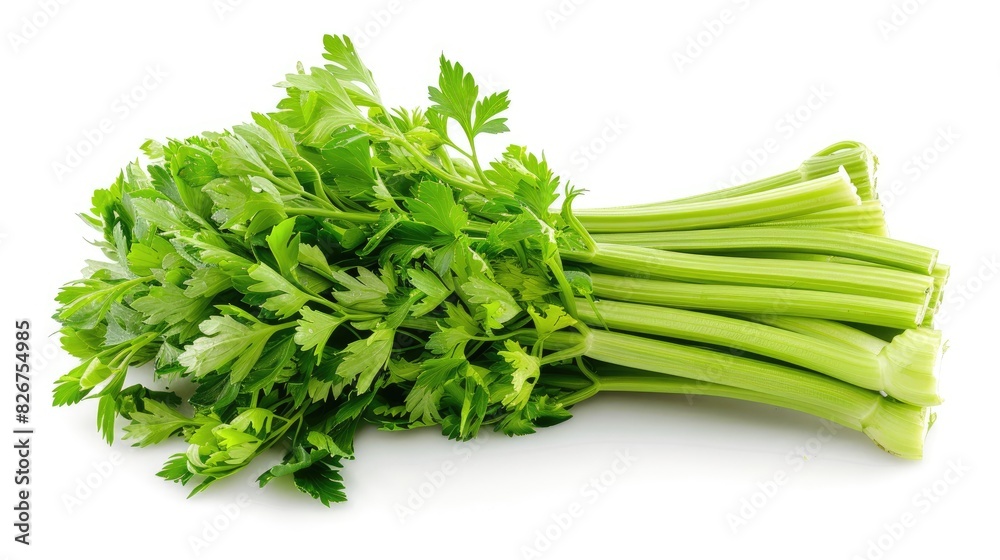 Celery stalks in green color on a white background