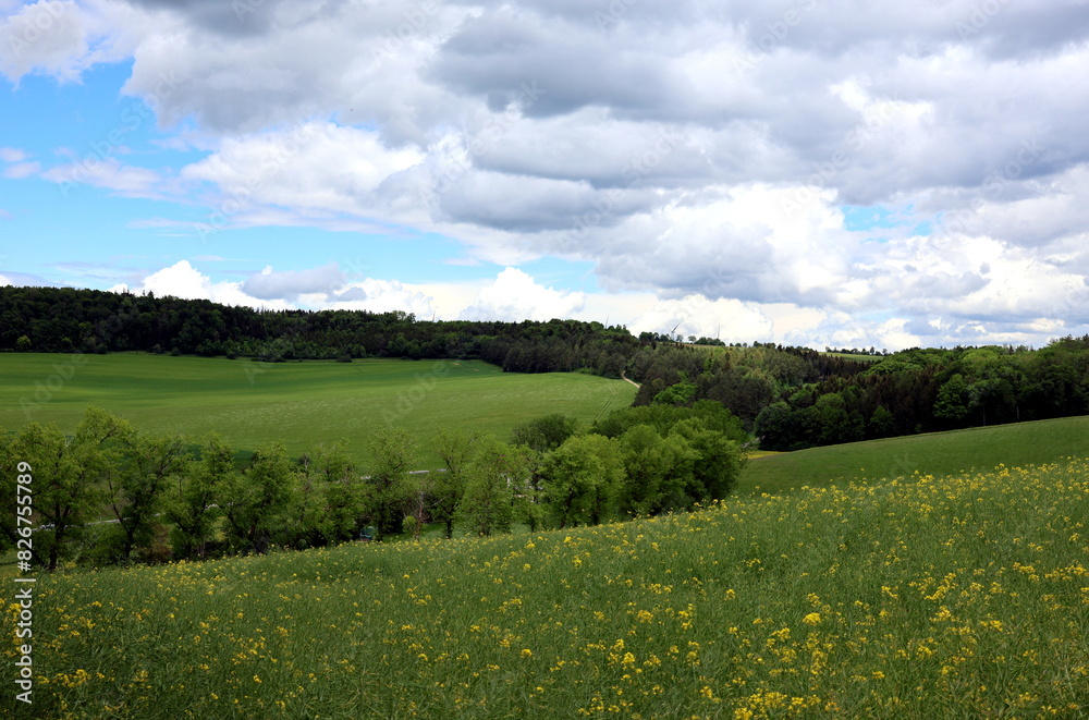Obraz premium Grüne Frühlingslandschaft in Neresheim