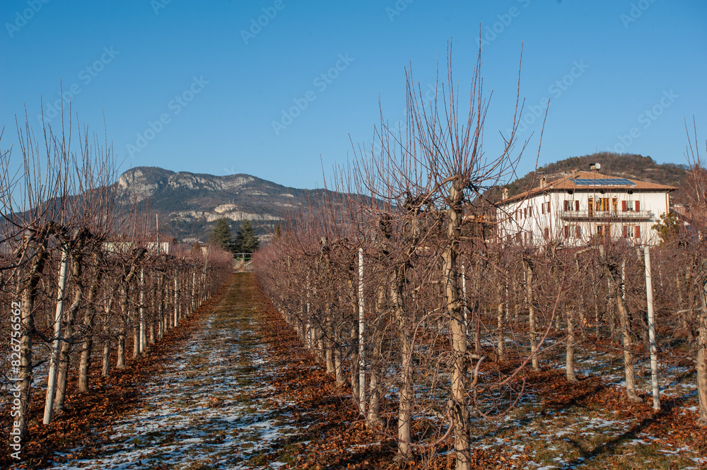 autumn in Italy, road in Italy during the non-tourist season, late autumn in the mountains autumn in Italy, road in Italy during the non-tourist season, late autumn in the mountains