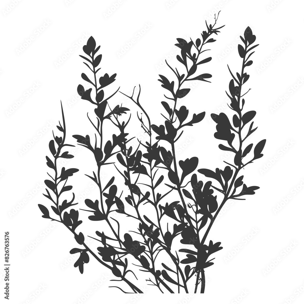 Naklejka premium Silhouette seaweed plant black color only