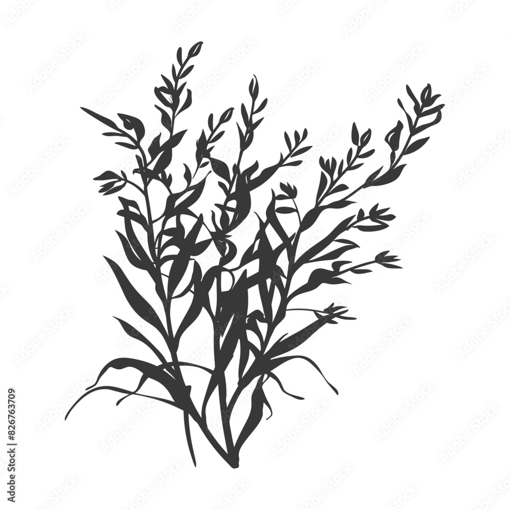 Naklejka premium Silhouette seaweed plant black color only