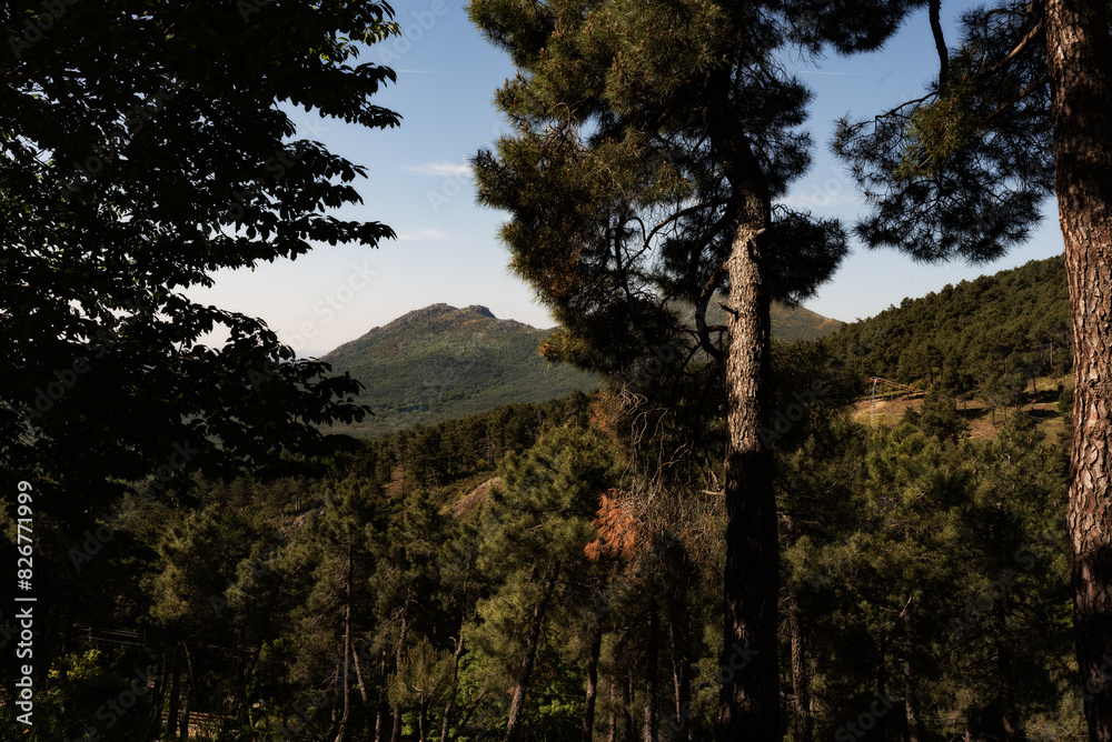 Naturaleza en el monte Abantos en el Escorial