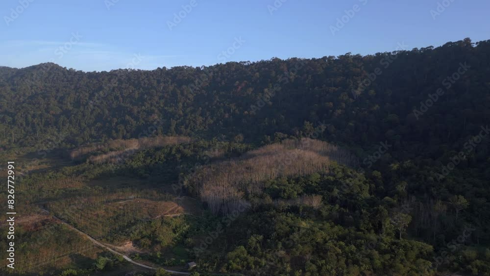 mountains dense greenery lush forest hill. Wonderful aerial view flight drone mountains dense greenery lush forest hill. Wonderful aerial view flight drone