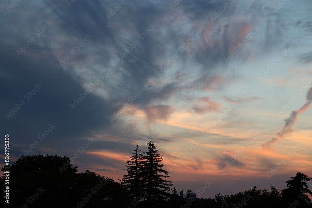 Obraz premium clouds above pines painted in pastels pink blue orange yellow white