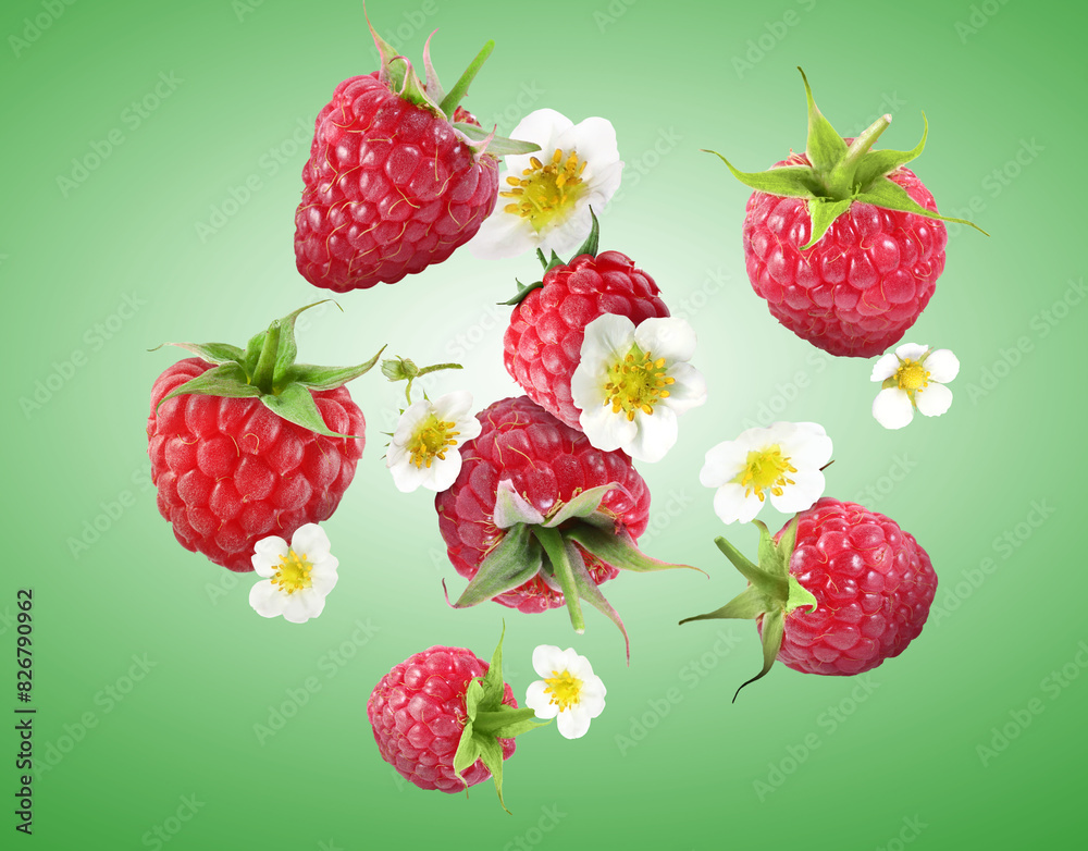 Ripe raspberries and flowers in air on green background Ripe raspberries and flowers in air on green background