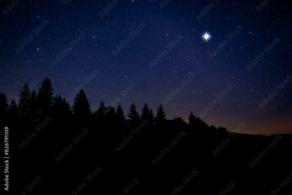 Countless twinkling stars in night sky over forest Countless twinkling stars in night sky over forest