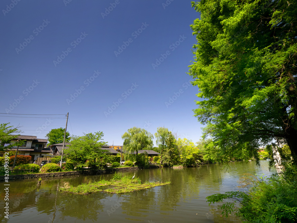 石神井公園 石神井池 東京都 石神井公園 石神井池 東京都
