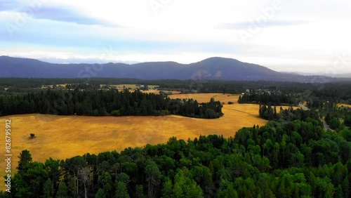 Wallpaper Mural Aerial Panning Scenic View Of Green Trees On Landscape By Tranquil Mountains Under Cloudy Sky - Coeur d'Alene, Idaho Torontodigital.ca
