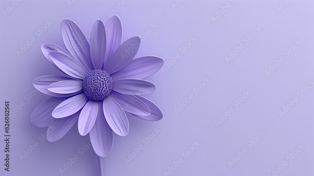 flower, pink, nature, isolated, beauty, daisy, spring, summer, flowers, white, plant, purple, blossom, floral, bloom, flora, garden, petal, chrysanthemum, beautiful, color, petals, macro, bouquet, clo flower, pink, nature, isolated, beauty, daisy, spring, summer, flowers, white, plant, purple, blossom, floral, bloom, flora, garden, petal, chrysanthemum, beautiful, color, petals, macro, bouquet, clo
