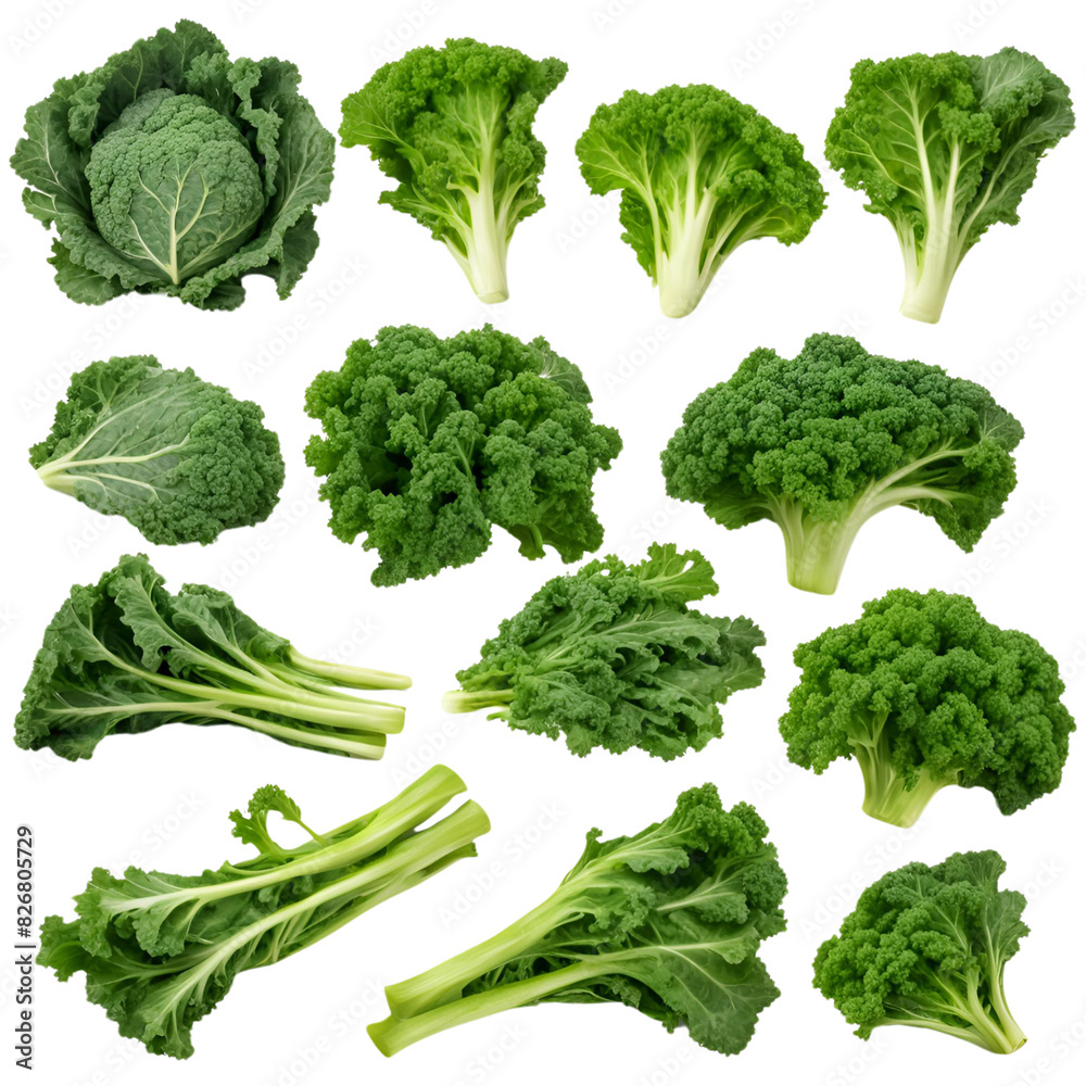 Isolated collection of Kale against a white background Isolated collection of Kale against a white background