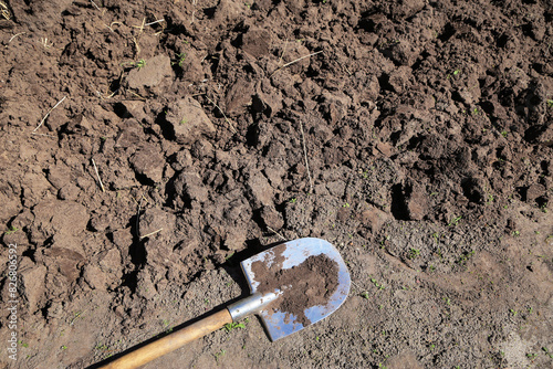Digging up ground. Brown soil texture background with copyspace and shovel on garden bed in farm garden. Organic farming, gardening, growing, agriculture concept