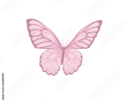 pink buterfly flock positive quote	