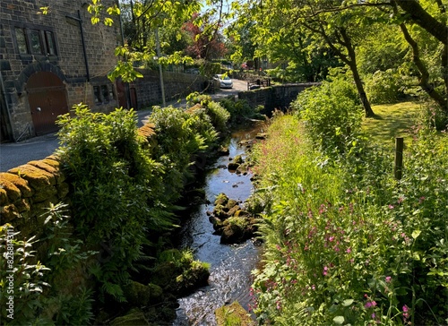A peaceful stream winds its way through a tranquil setting, draped with foliage, and dotted with wildflowers along its edges close to, Lumbutts Road in Todmorden, UK. © derek oldfield