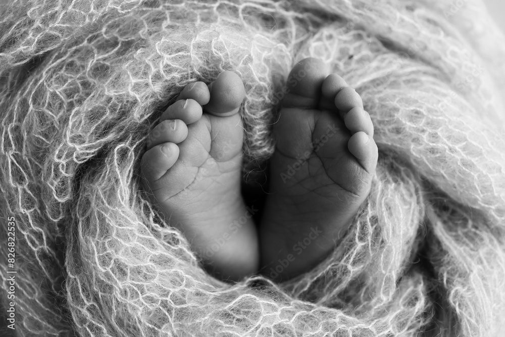 The tiny foot of a newborn baby. Soft feet of a new born in a wool blanket. Close up of toes, heels and feet of a newborn. Black and white Macro photography. The tiny foot of a newborn baby. Soft feet of a new born in a wool blanket. Close up of toes, heels and feet of a newborn. Black and white Macro photography.