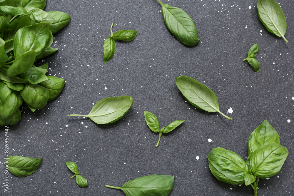 Fresh green basil leaves on black background