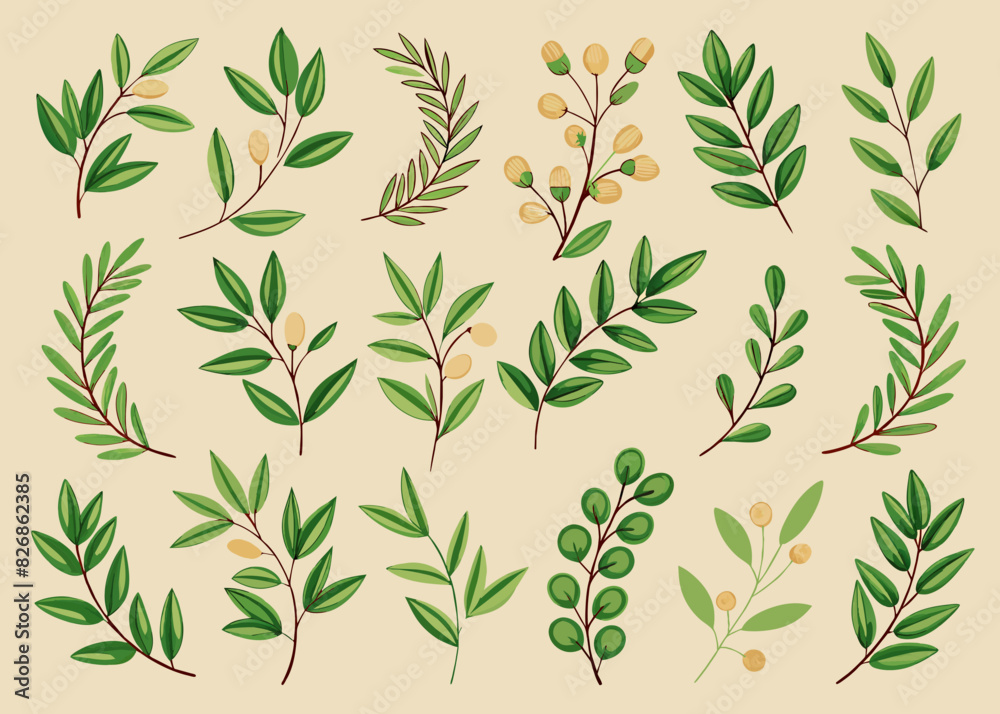 Naklejka premium set of variation of hand drawn olive